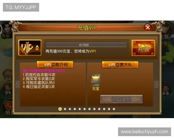 大阳城VIP特权介绍全面解析VIP玩家专属的游戏福利与优先服务